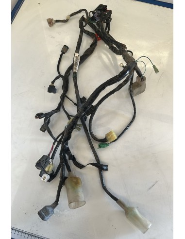 Cableado Honda PCX 125 2009