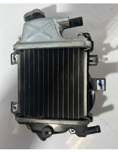 Radiador Honda PCX 125 2011