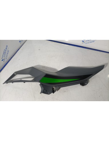 Lateral trasero izquierdo Kawasaki Ninja 500 2024